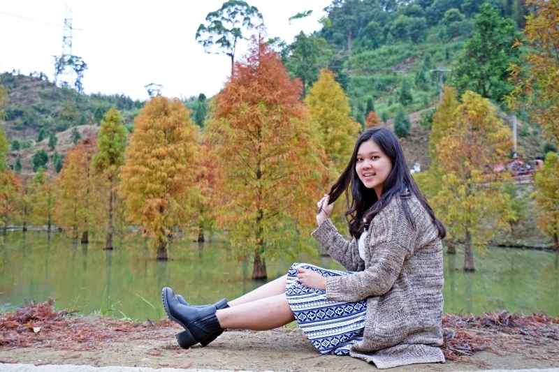 跳躍的宅男 -   苗栗三灣落羽松 快跟閨蜜來拍甜蜜照 20181214落羽松現況直播 秘境IG熱門打卡點  浪漫台三線景點