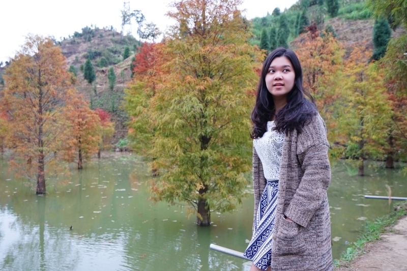 跳躍的宅男 -   苗栗三灣落羽松 快跟閨蜜來拍甜蜜照 20181214落羽松現況直播 秘境IG熱門打卡點  浪漫台三線景點