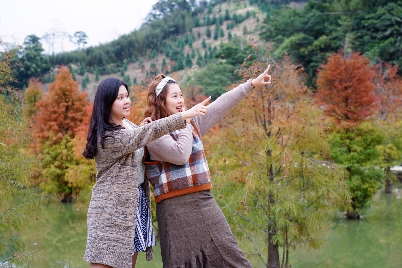 跳躍的宅男 -   苗栗三灣落羽松 快跟閨蜜來拍甜蜜照 20181214落羽松現況直播 秘境IG熱門打卡點  浪漫台三線景點