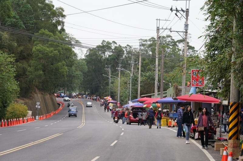 跳躍的宅男 -   苗栗三灣落羽松 快跟閨蜜來拍甜蜜照 20181214落羽松現況直播 秘境IG熱門打卡點  浪漫台三線景點