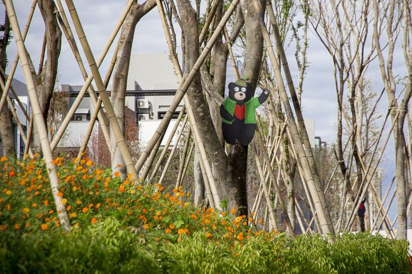 【玩樂.台中】太平景點/小心有熊出沒-熊熊秘境~大片波斯菊花海、森林小徑、可愛小熊出沒,免費好拍