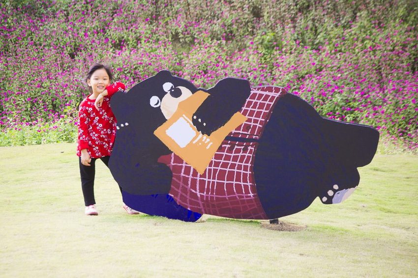 【玩樂.台中】太平景點/小心有熊出沒-熊熊秘境~大片波斯菊花海、森林小徑、可愛小熊出沒,免費好拍