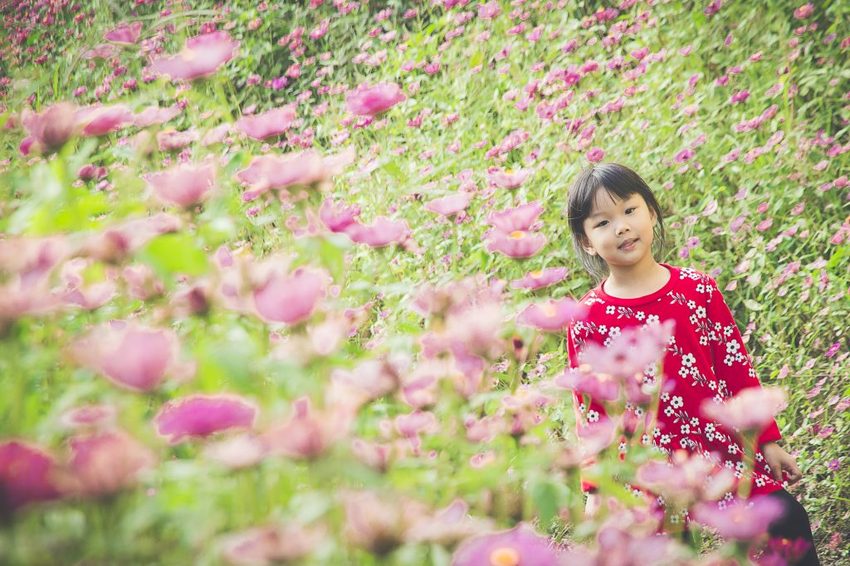 【玩樂.台中】太平景點/小心有熊出沒-熊熊秘境~大片波斯菊花海、森林小徑、可愛小熊出沒,免費好拍