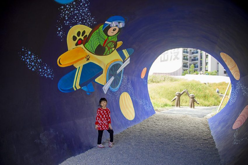 【玩樂.台中】太平景點/小心有熊出沒-熊熊秘境~大片波斯菊花海、森林小徑、可愛小熊出沒,免費好拍