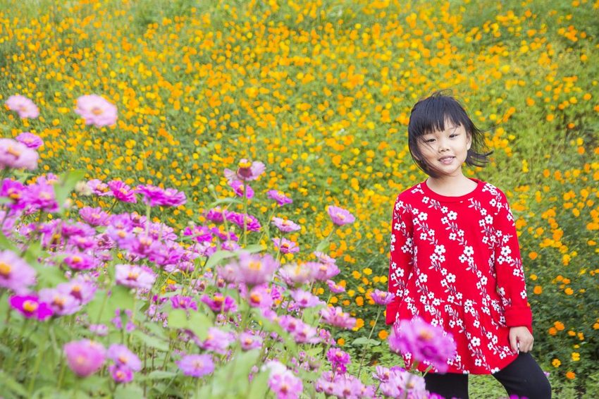 【玩樂.台中】太平景點/小心有熊出沒-熊熊秘境~大片波斯菊花海、森林小徑、可愛小熊出沒,免費好拍
