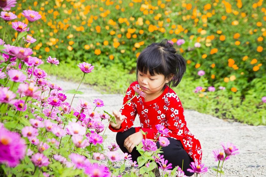 【玩樂.台中】太平景點/小心有熊出沒-熊熊秘境~大片波斯菊花海、森林小徑、可愛小熊出沒,免費好拍
