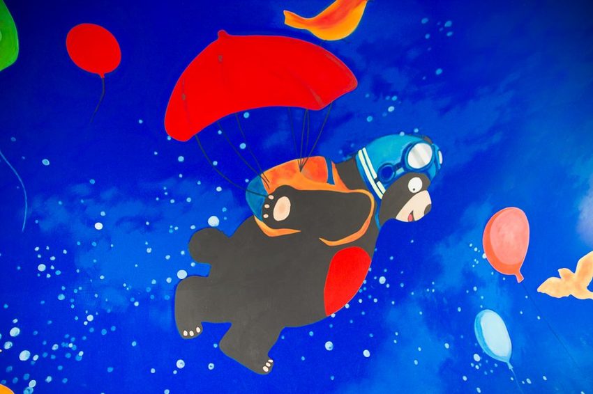 【玩樂.台中】太平景點/小心有熊出沒-熊熊秘境~大片波斯菊花海、森林小徑、可愛小熊出沒,免費好拍