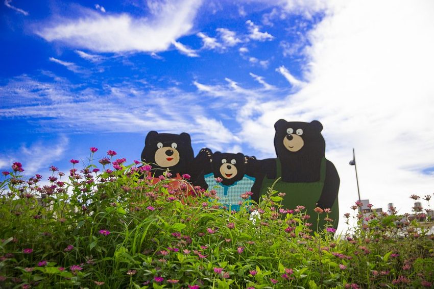 【玩樂.台中】太平景點/小心有熊出沒-熊熊秘境~大片波斯菊花海、森林小徑、可愛小熊出沒,免費好拍