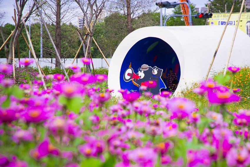 【玩樂.台中】太平景點/小心有熊出沒-熊熊秘境~大片波斯菊花海、森林小徑、可愛小熊出沒,免費好拍