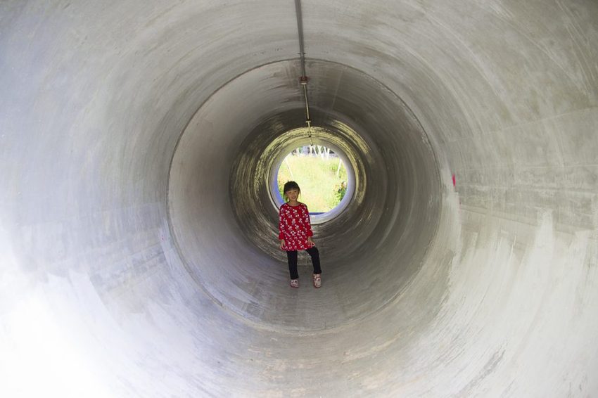 【玩樂.台中】太平景點/小心有熊出沒-熊熊秘境~大片波斯菊花海、森林小徑、可愛小熊出沒,免費好拍