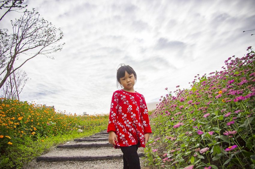 【玩樂.台中】太平景點/小心有熊出沒-熊熊秘境~大片波斯菊花海、森林小徑、可愛小熊出沒,免費好拍