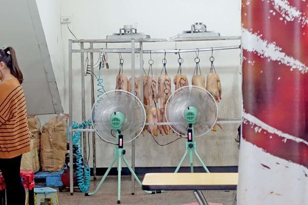 【桃園八德美食】邊境烤鴨-每日新鮮現烤限量烤鴨，晚來就吃不到!!