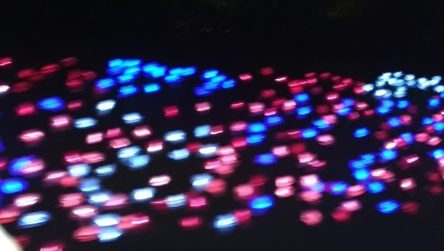 P_20190628_191200_LL.jpg -  深澳RB※船遊秘境(夜光限定版)