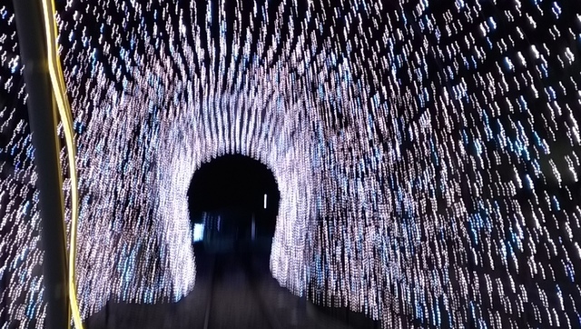 P_20190628_191751_LL.jpg -  深澳RB※船遊秘境(夜光限定版)