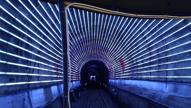 P_20190628_191415_LL.jpg -  深澳RB※船遊秘境(夜光限定版)