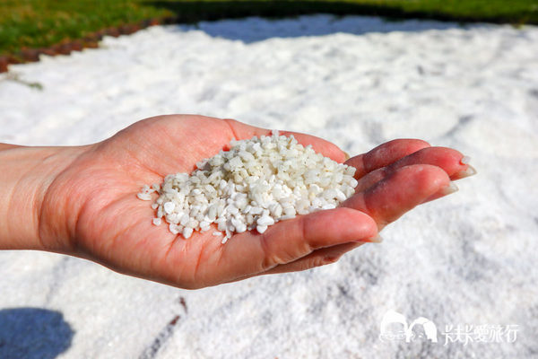 悠悅光 Aura Villa：宜蘭民宿-悠悅光新樂館｜親子民宿動物風格溜滑梯攀岩場梅花湖畔