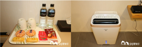 悠悅光 Aura Villa：宜蘭民宿-悠悅光新樂館｜親子民宿動物風格溜滑梯攀岩場梅花湖畔