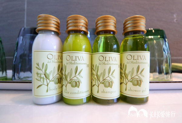 悠悅光 Aura Villa：宜蘭民宿-悠悅光新樂館｜親子民宿動物風格溜滑梯攀岩場梅花湖畔