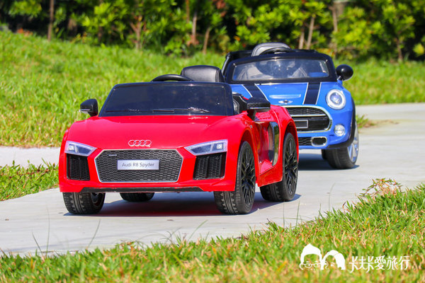 悠悅光 Aura Villa：宜蘭民宿-悠悅光新樂館｜親子民宿動物風格溜滑梯攀岩場梅花湖畔