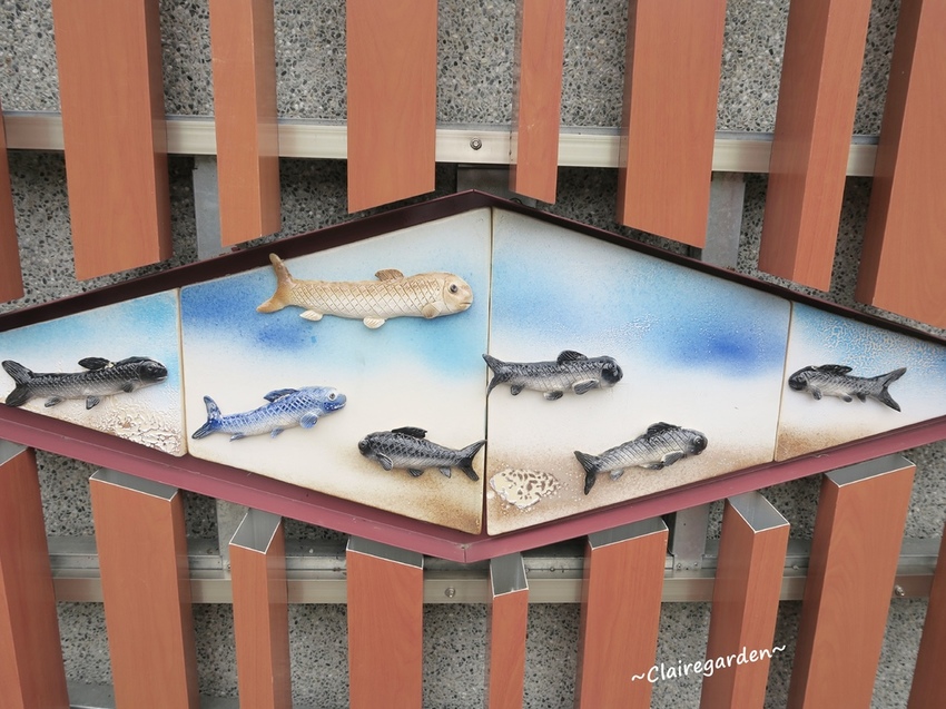 IMG_4015.JPG IMG_4015.JPG