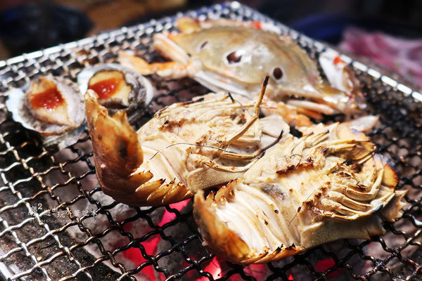 IMG_0972.JPG IMG_0972.JPG