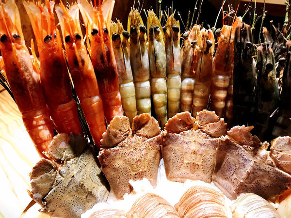 IMG_7083.JPG IMG_7083.JPG