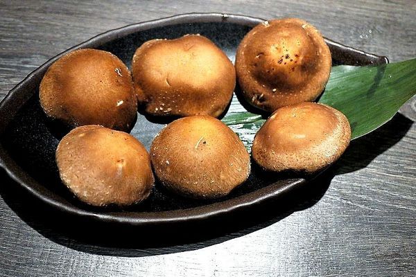 千荷田日式涮涮鍋-永安店：‖食記‖ 千荷田日式涮涮鍋-永安店 ｜雙拼超值鍋｜招牌羊肉鍋｜昆布湯底｜ 麻辣湯底（捷運永安市場美食）