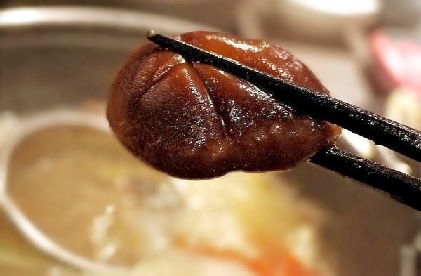 千荷田日式涮涮鍋-永安店：‖食記‖ 千荷田日式涮涮鍋-永安店 ｜雙拼超值鍋｜招牌羊肉鍋｜昆布湯底｜ 麻辣湯底（捷運永安市場美食）