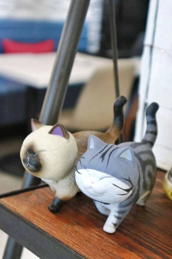 Gattino 早午餐 義大利麵 甜點