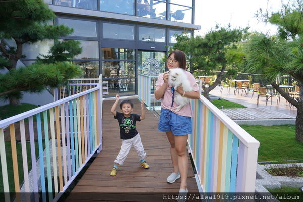 DSC05393.JPG DSC05393.JPG