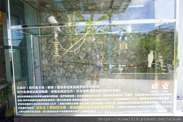 DSC05313.JPG DSC05313.JPG