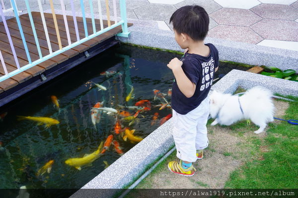 DSC05398.JPG DSC05398.JPG