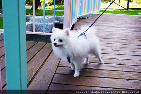 DSC05382.JPG DSC05382.JPG