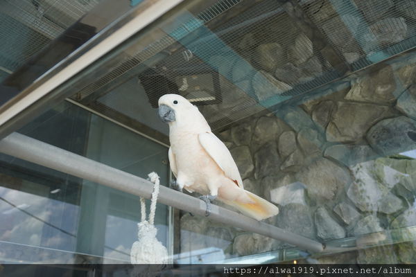 DSC05319.JPG DSC05319.JPG