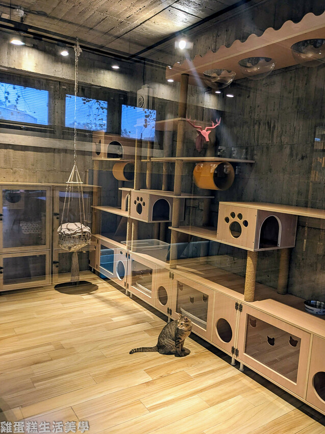 【新竹食記】卡菲努努親子寵物餐廳 - 超有趣親子寵物餐廳,小