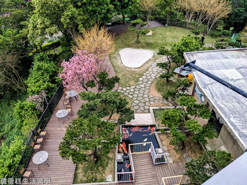 【新竹食記】卡菲努努親子寵物餐廳 - 超有趣親子寵物餐廳,小