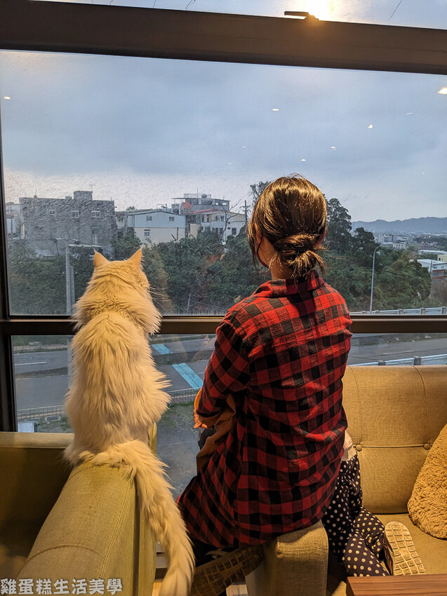 【新竹食記】卡菲努努親子寵物餐廳 - 超有趣親子寵物餐廳,小