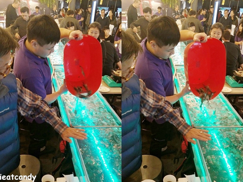 台中美食_泰夯蝦-正宗曼谷流水蝦│隱藏在龍富夜市的泰國蝦吃到飽！滿滿蝦子吃到過癮~ - 愛伊特candy的分享樂園