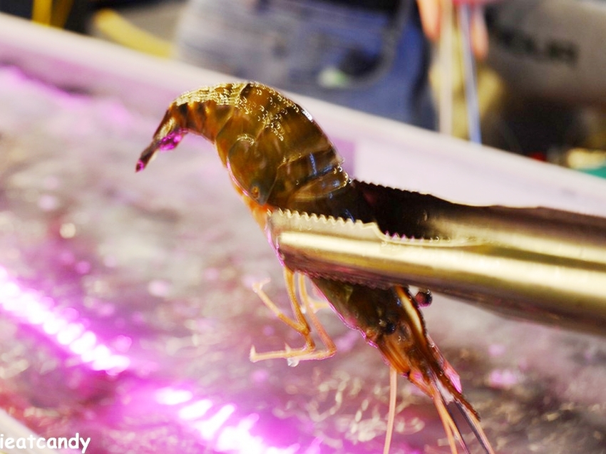 台中美食_泰夯蝦-正宗曼谷流水蝦│隱藏在龍富夜市的泰國蝦吃到飽！滿滿蝦子吃到過癮~ - 愛伊特candy的分享樂園
