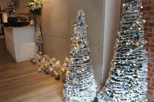 IMG_9614.JPG IMG_9614.JPG