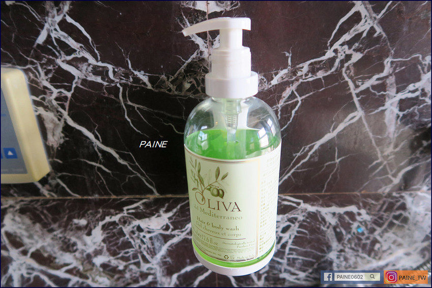 花蓮包棟民宿泳池烤肉 翠山莊VILLA 花蓮包棟民宿泳池烤肉 翠山莊VILLA