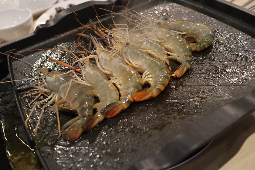 泰多蝦流水道夾蝦場 (16)