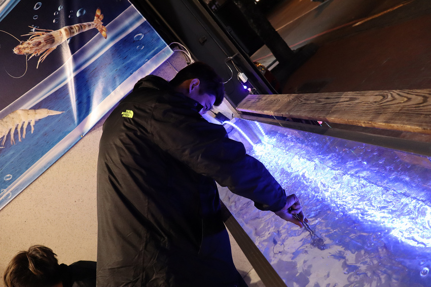 泰多蝦流水道夾蝦場 (4)