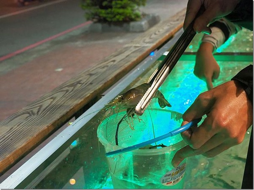 桃園中壢美食-泰多蝦流水道夾蝦場-北部第一家新鮮泰國蝦吃到飽,愛吃蝦子的快來! @民宿女王芽月-美食.旅遊.全台趴趴走