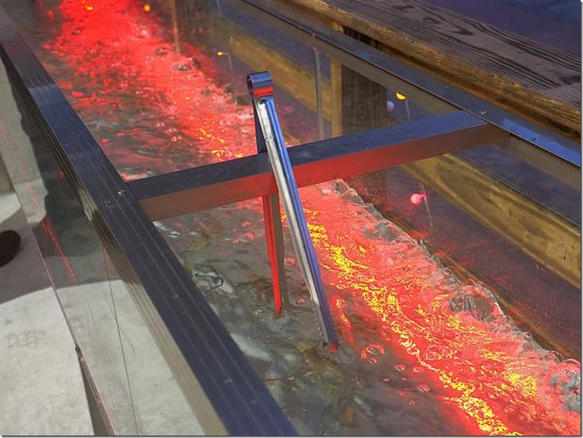 桃園中壢美食-泰多蝦流水道夾蝦場-北部第一家新鮮泰國蝦吃到飽,愛吃蝦子的快來! @民宿女王芽月-美食.旅遊.全台趴趴走