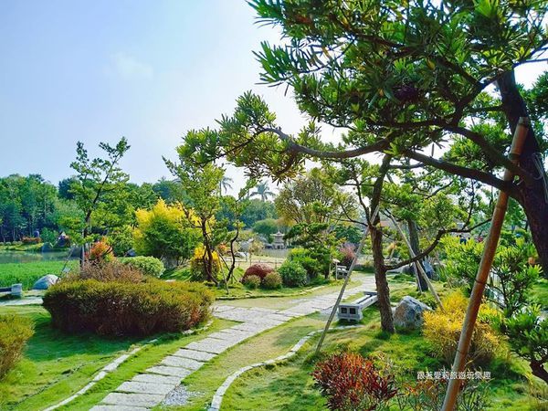 44931878_1402603033205217_6006731940659462144_n