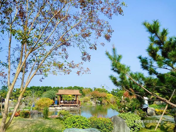 44929233_269065497284785_2742149753058885632_n