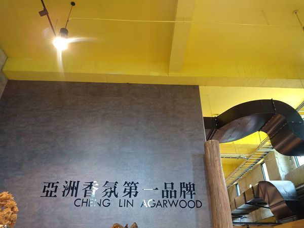 44916358_312046066056510_2396902028195397632_n