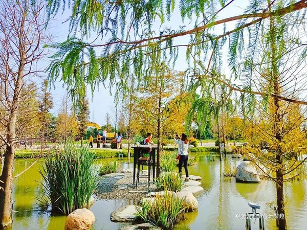 44938674_347611799320014_4950177592230543360_n