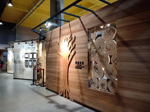 44974688_297382860903749_5356209274814988288_n